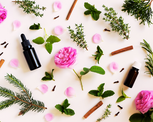 The Calming Power of Essential Oils