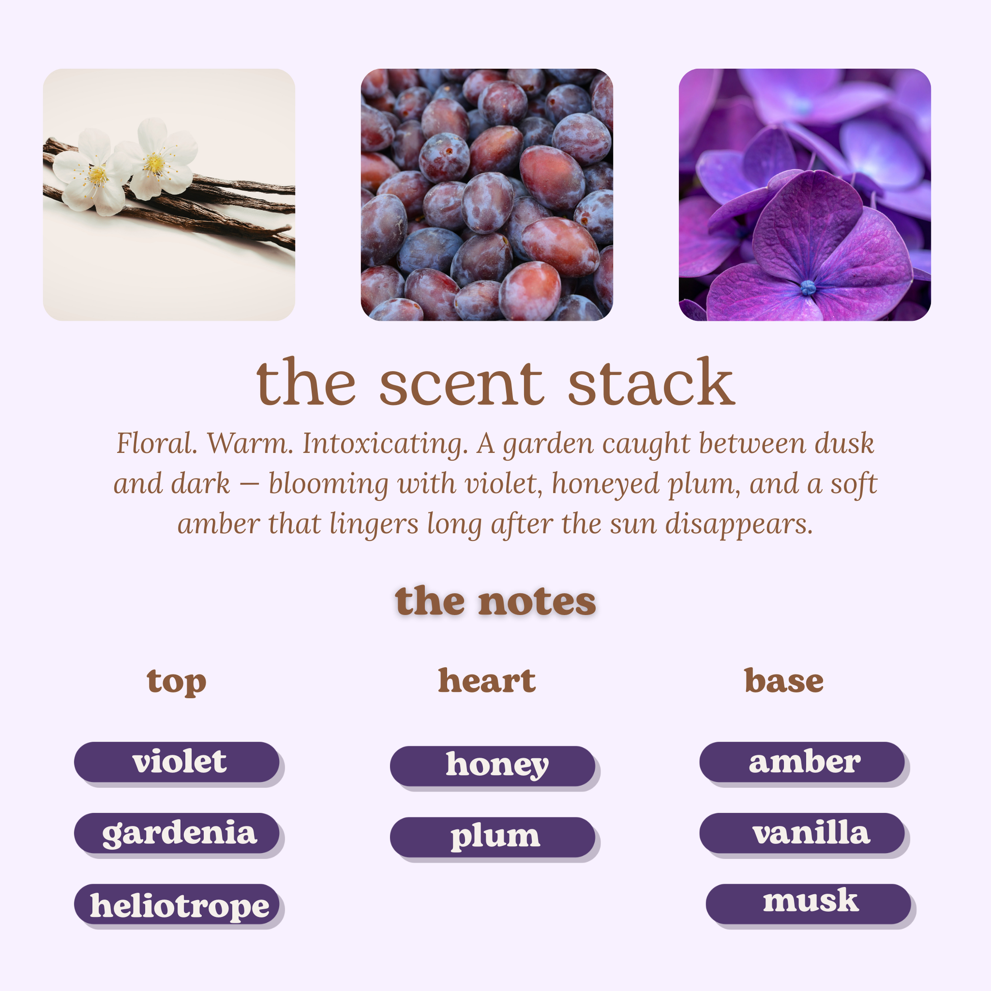 Scent stack description with floral images and notes on a purple background