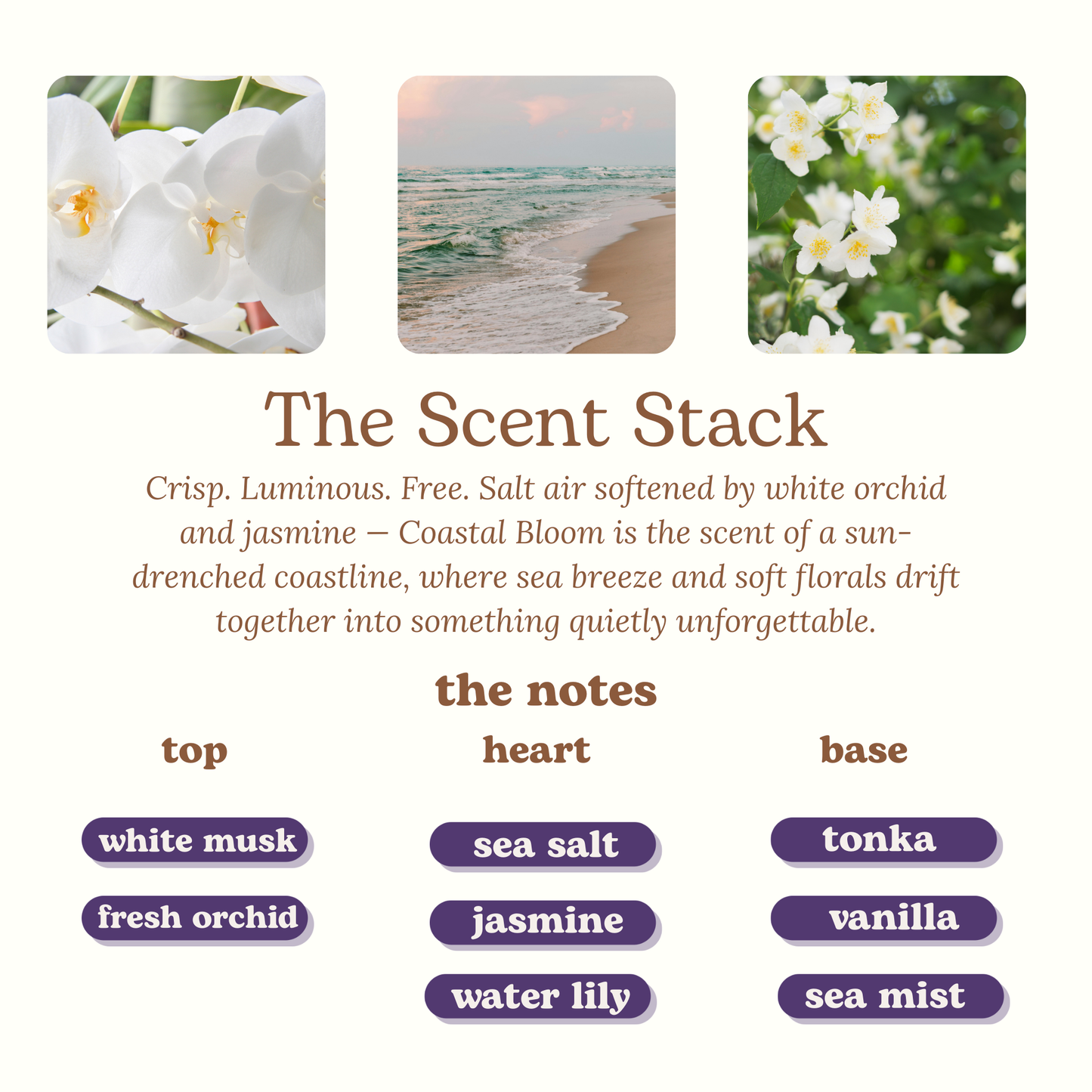 Coastal Bloom Seaside Floral Perfume Roller and Spray